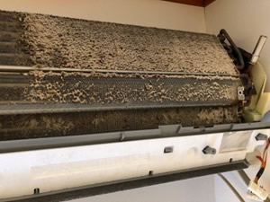 ダイキン製お掃除機能付きエアコンのクリーニング施工例
